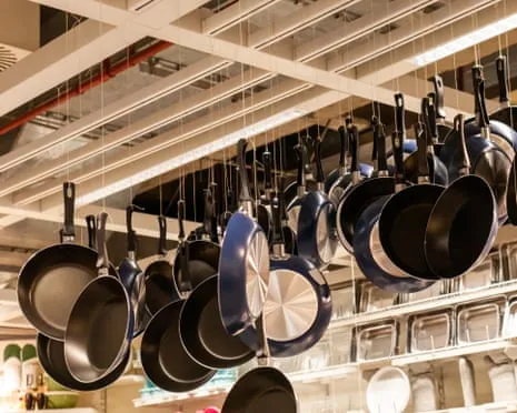 Non-Stick Eating, Aromatic Lactation and Striped Cattle Excel at 2025 Alternative Science Awards